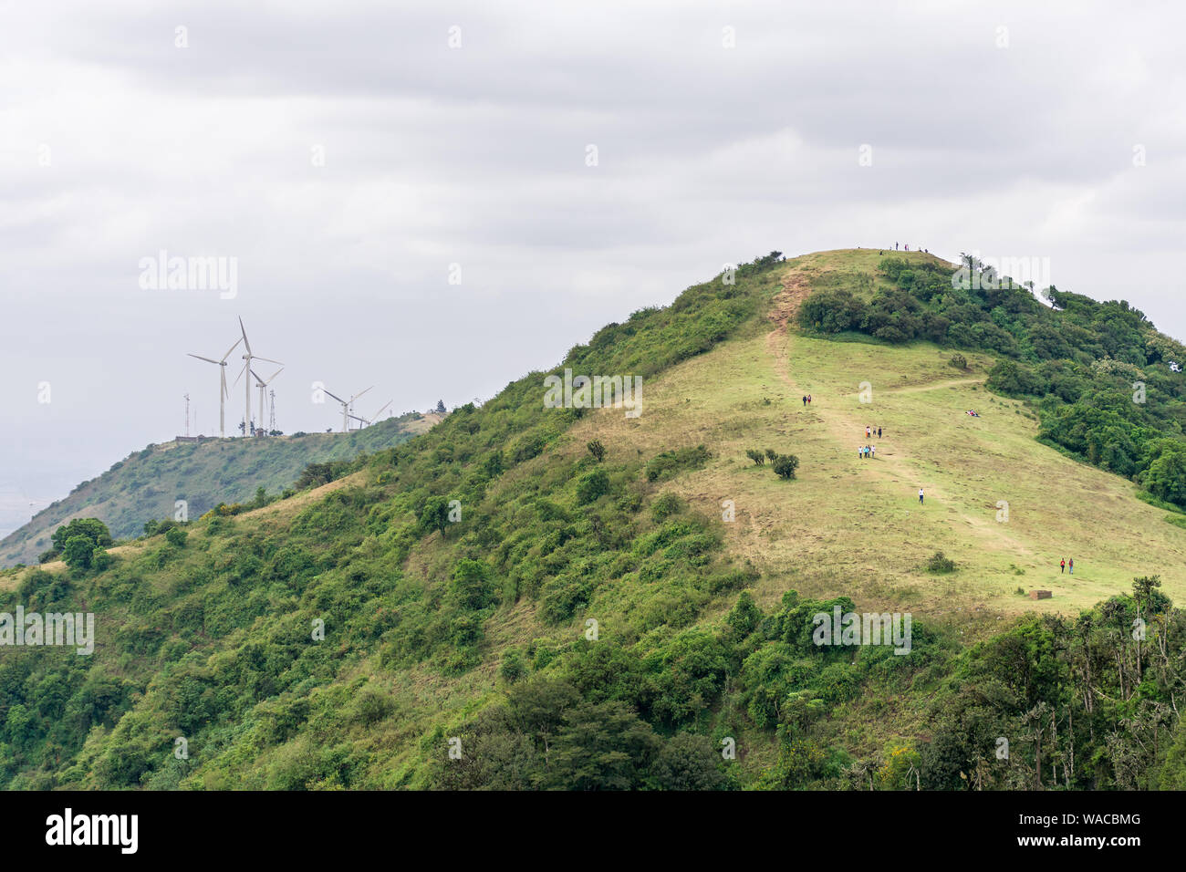 Ngong Hills Nature Reserve with hiking trails and wind power plant turbines in background, Kenya Stock Photo