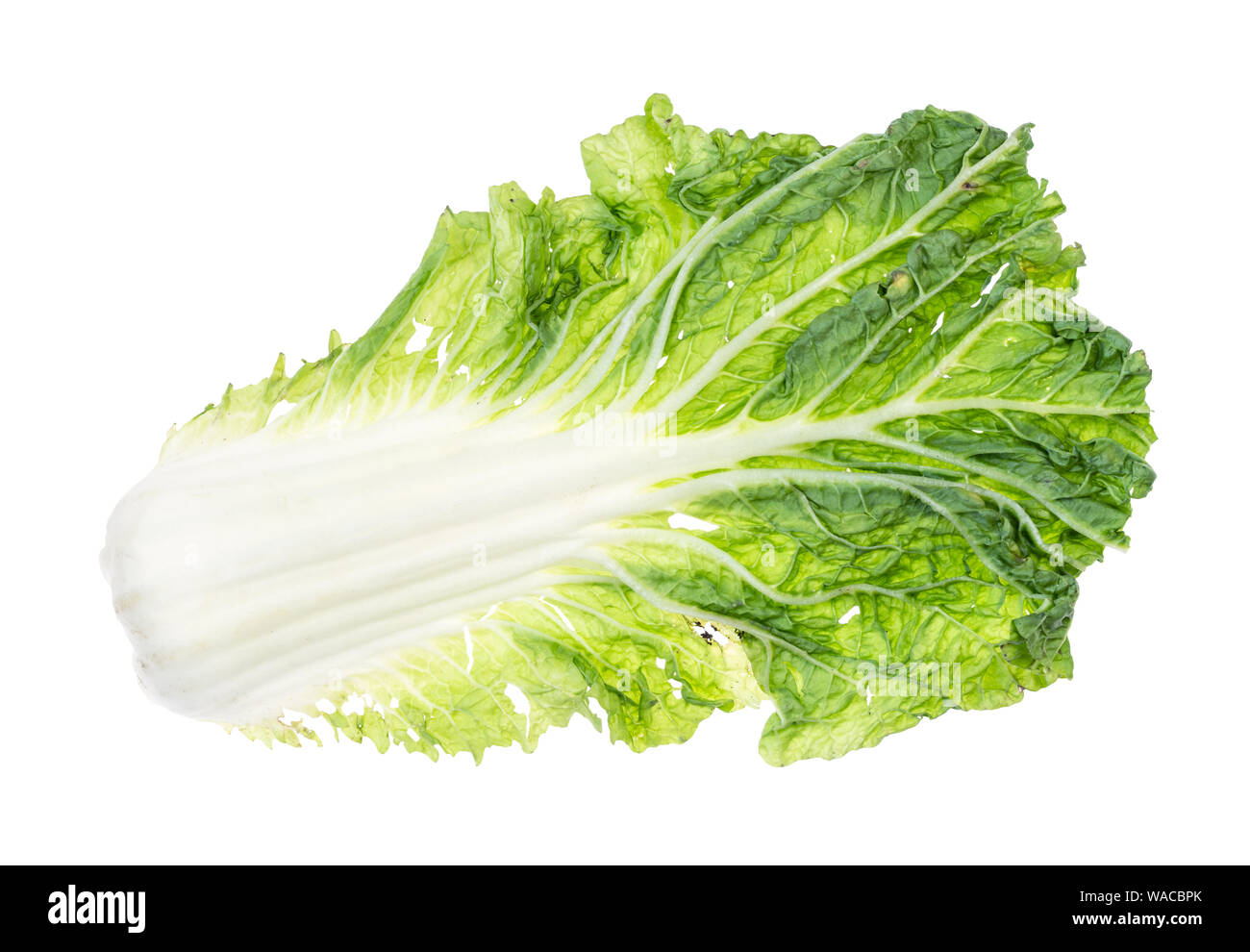single leaf of fresh green Napa cabbage cutout on white background Stock Photo