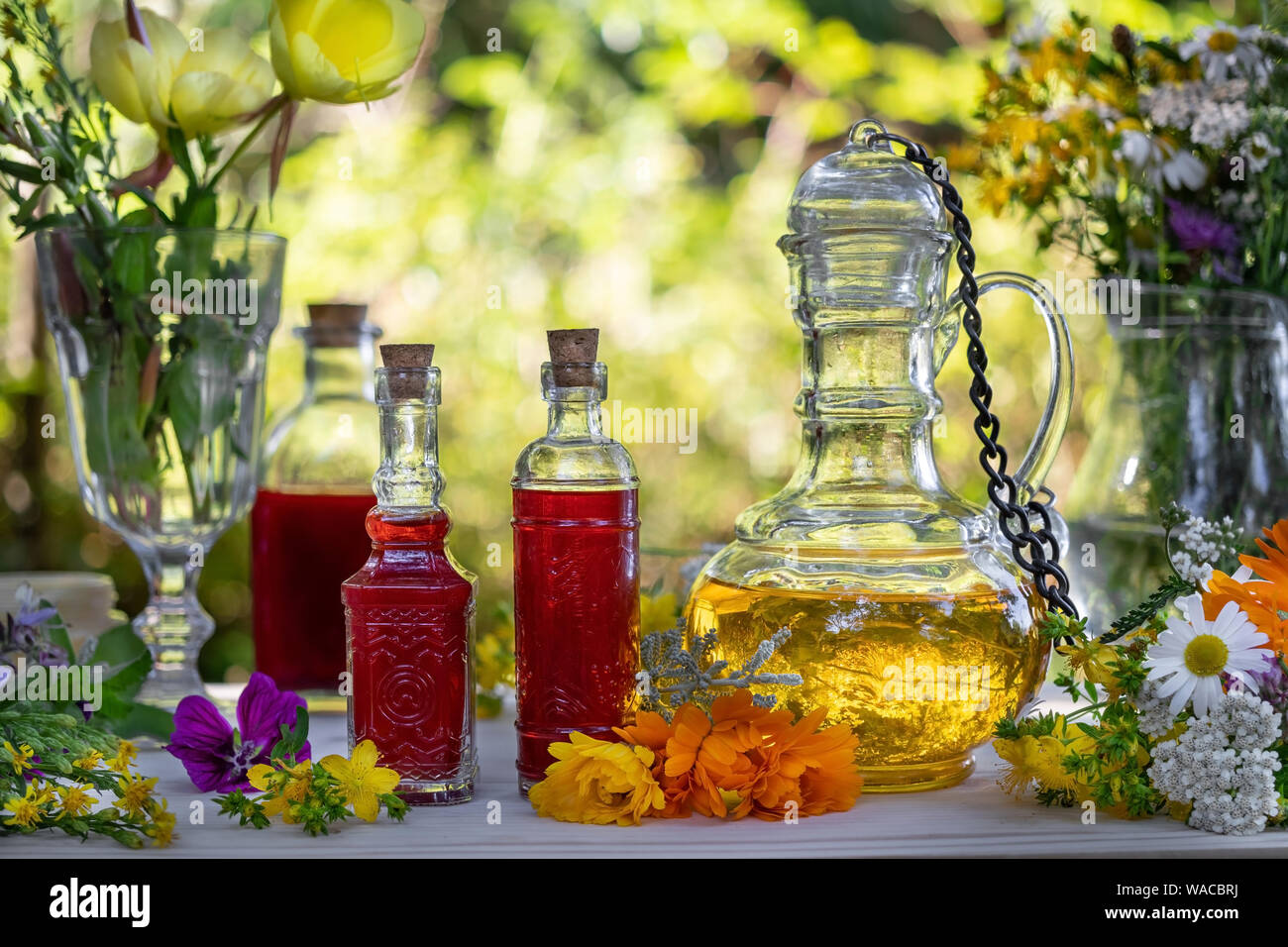 Bottles of St. John's wort and evening primrose oil with a mix of fresh