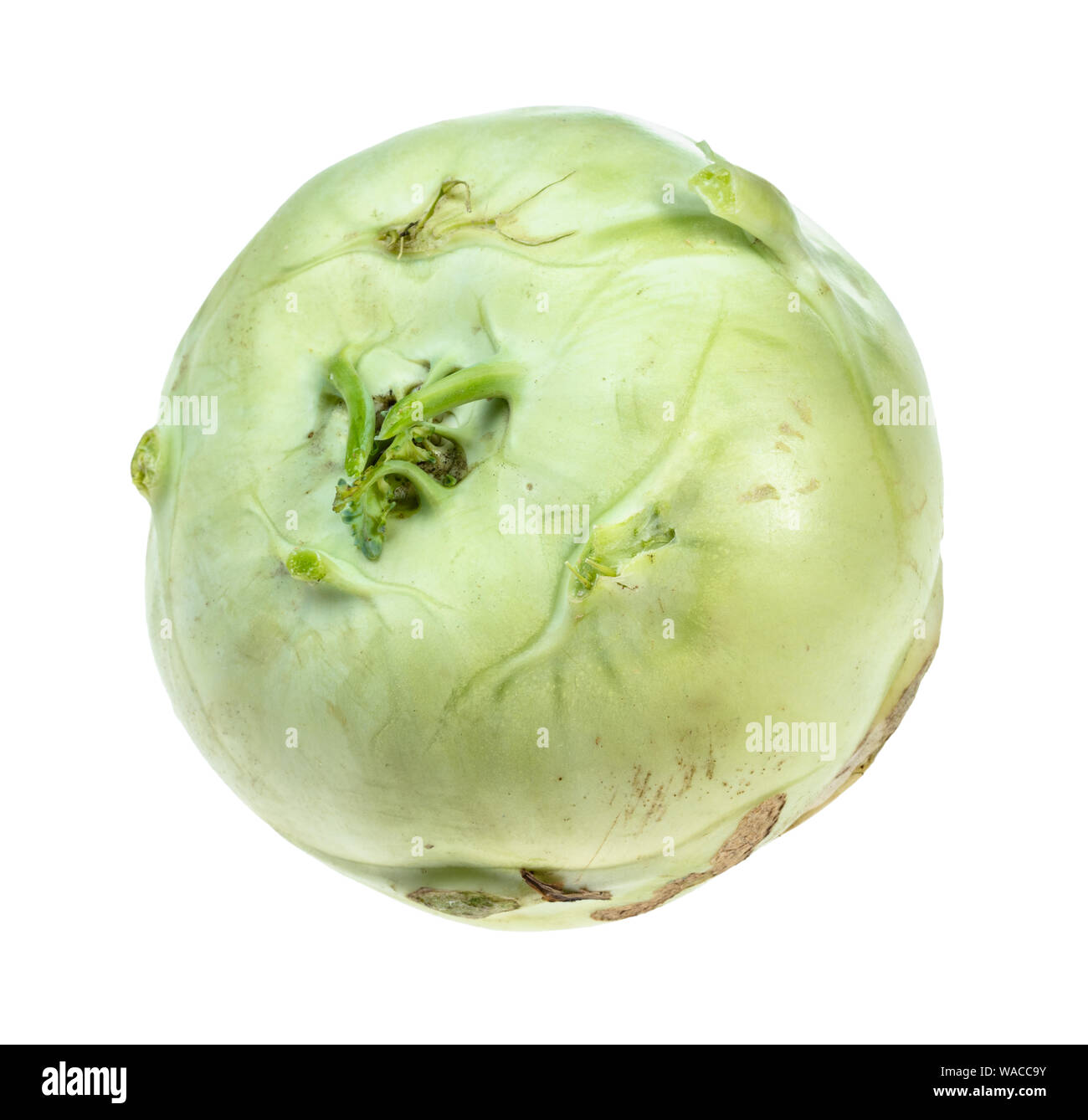 fresh kohlrabi cabbage cutout on white background Stock Photo