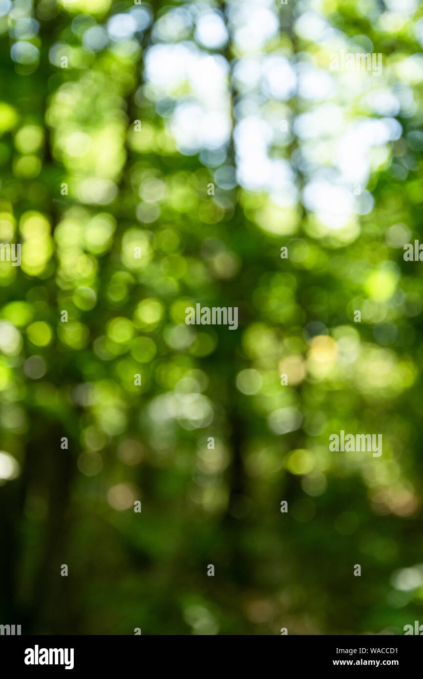 Green bokeh background. Magic blurred nature backdrop Stock Photo - Alamy