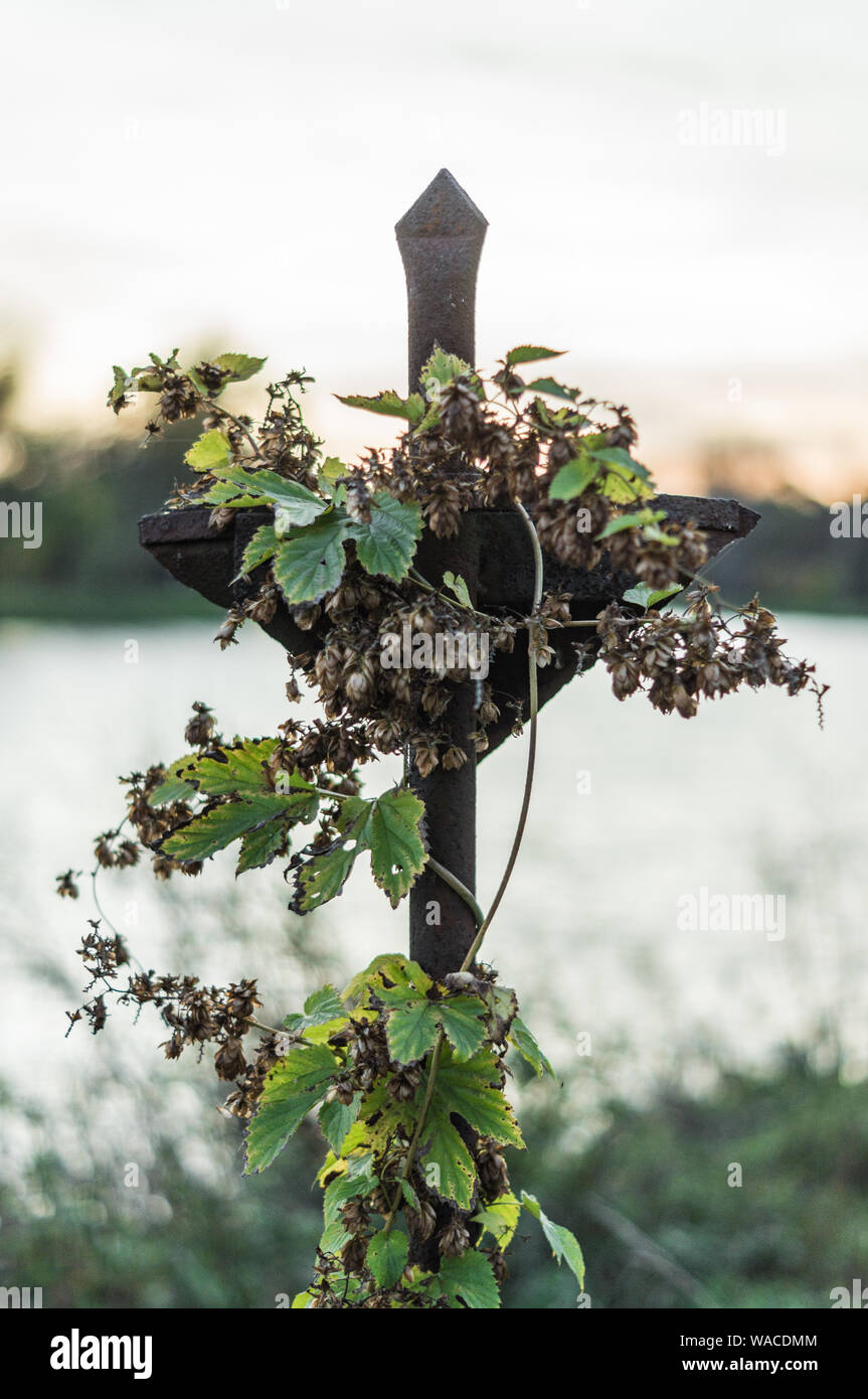 Wielded Cross iron domestic welded cross by the river Stock Photo - Alamy