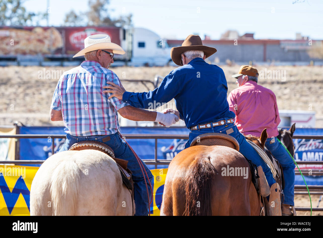 Team Roping Competition Stock Photo - Alamy