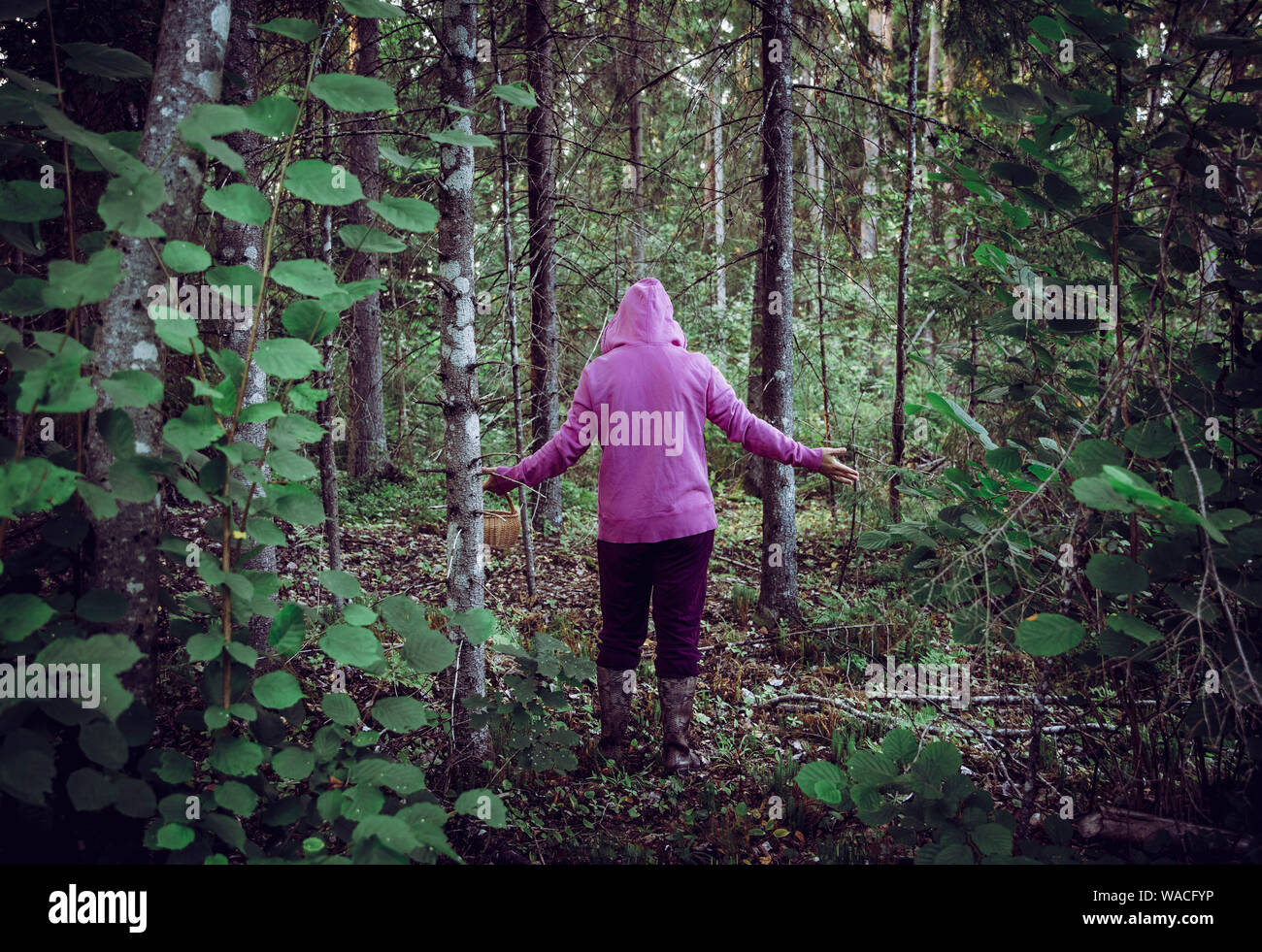 Confused person went to mushroom picking and got lost in the forest, disoriented scared and confused, northern Europe. Person lost in nature concept. Stock Photo