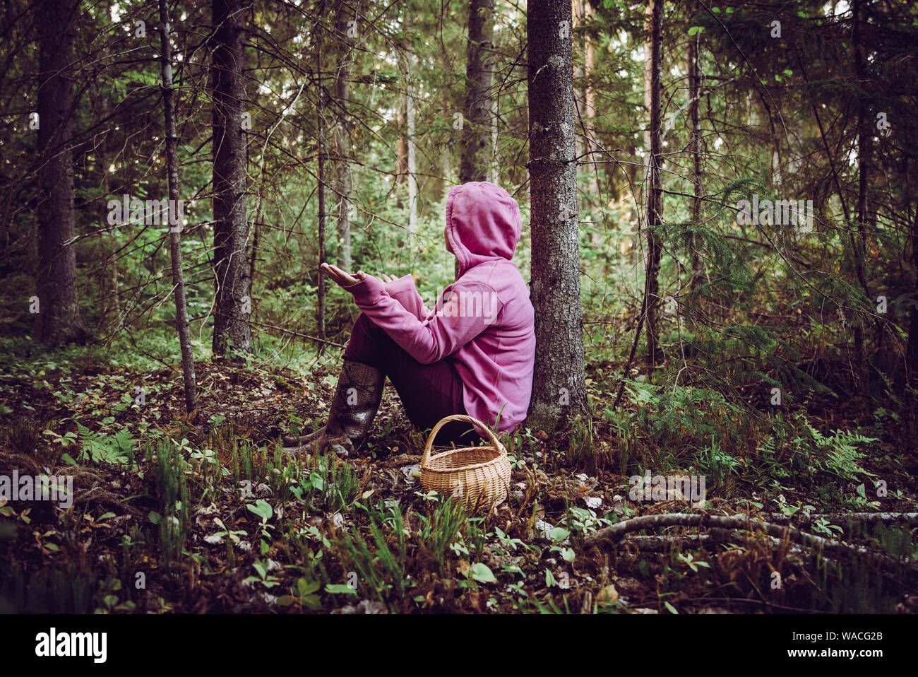 Confused person went to mushroom picking and got lost in the forest, disoriented scared and confused, northern Europe, sit under tree. Person lost in Stock Photo