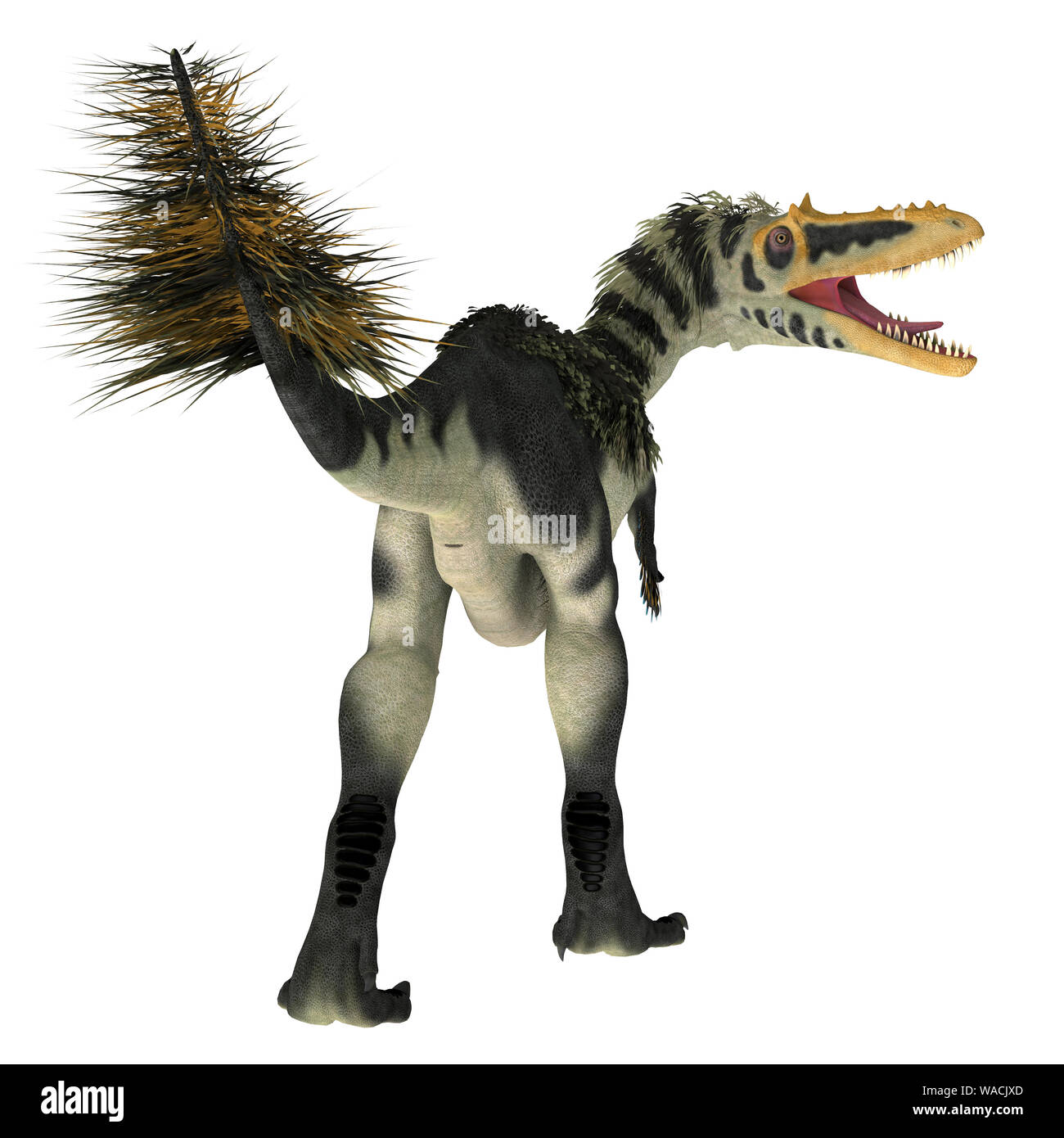 My Image 69