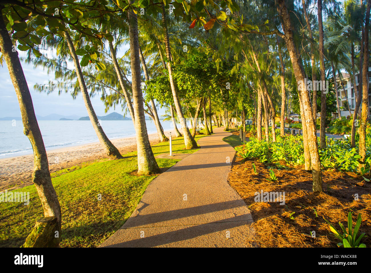 Palm Cove Beachfront Stock Photo Alamy