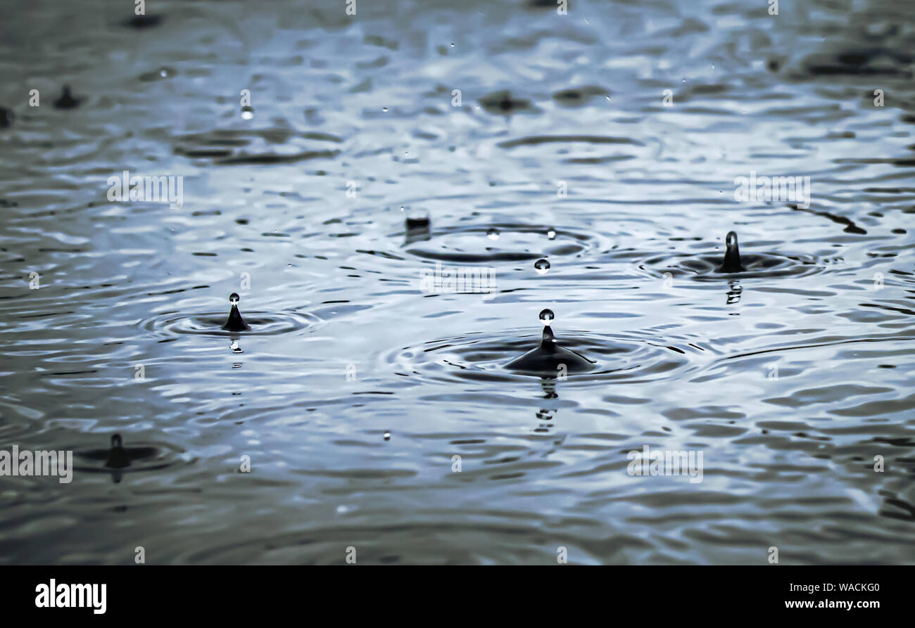 rain drops falling on the ground Stock Photo Alamy rain drops falling on the ground Stock Photo Alamy