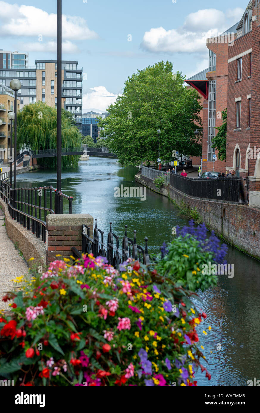 River Kennet running through the centre of Reading, Berkshire, England, UK Stock Photo