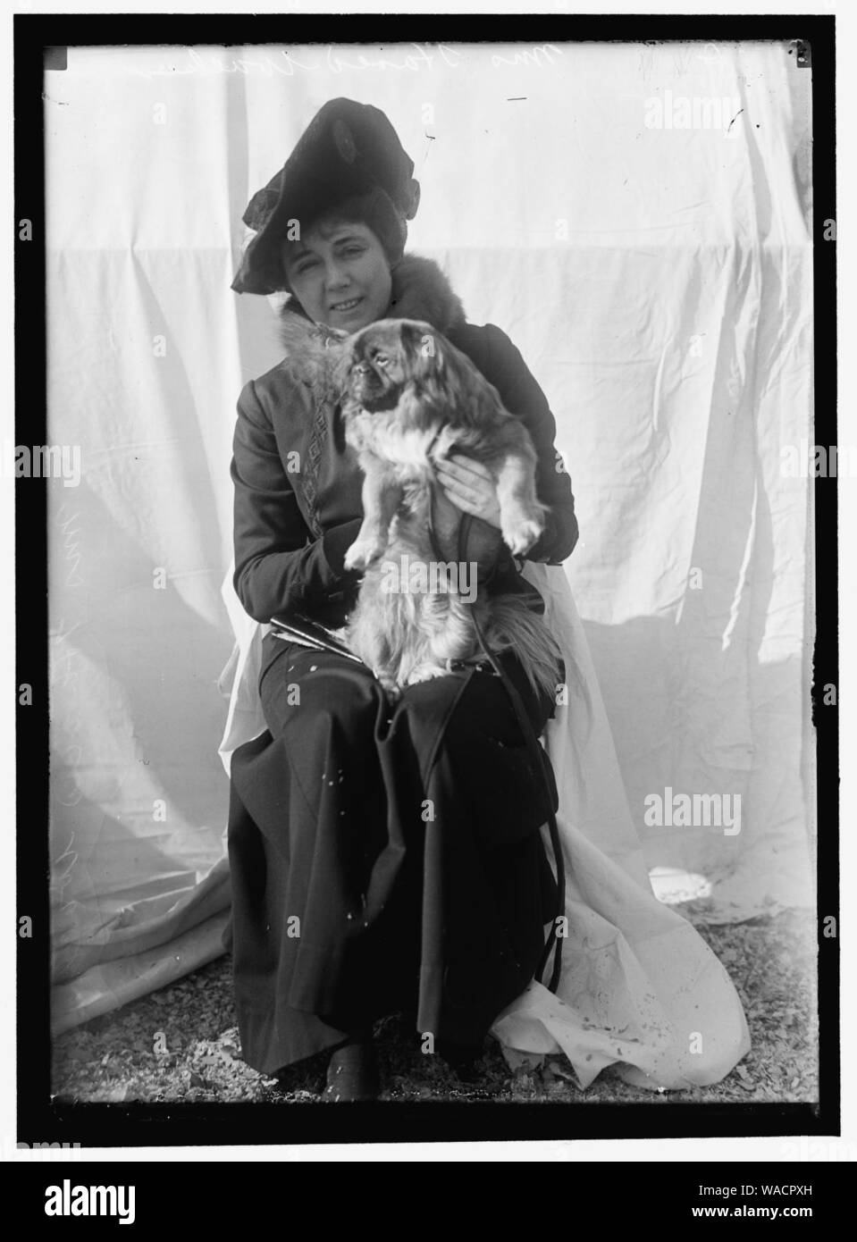 DOG SHOWS. UNIDENTIFIED WOMAN WITH ENTRY Stock Photo
