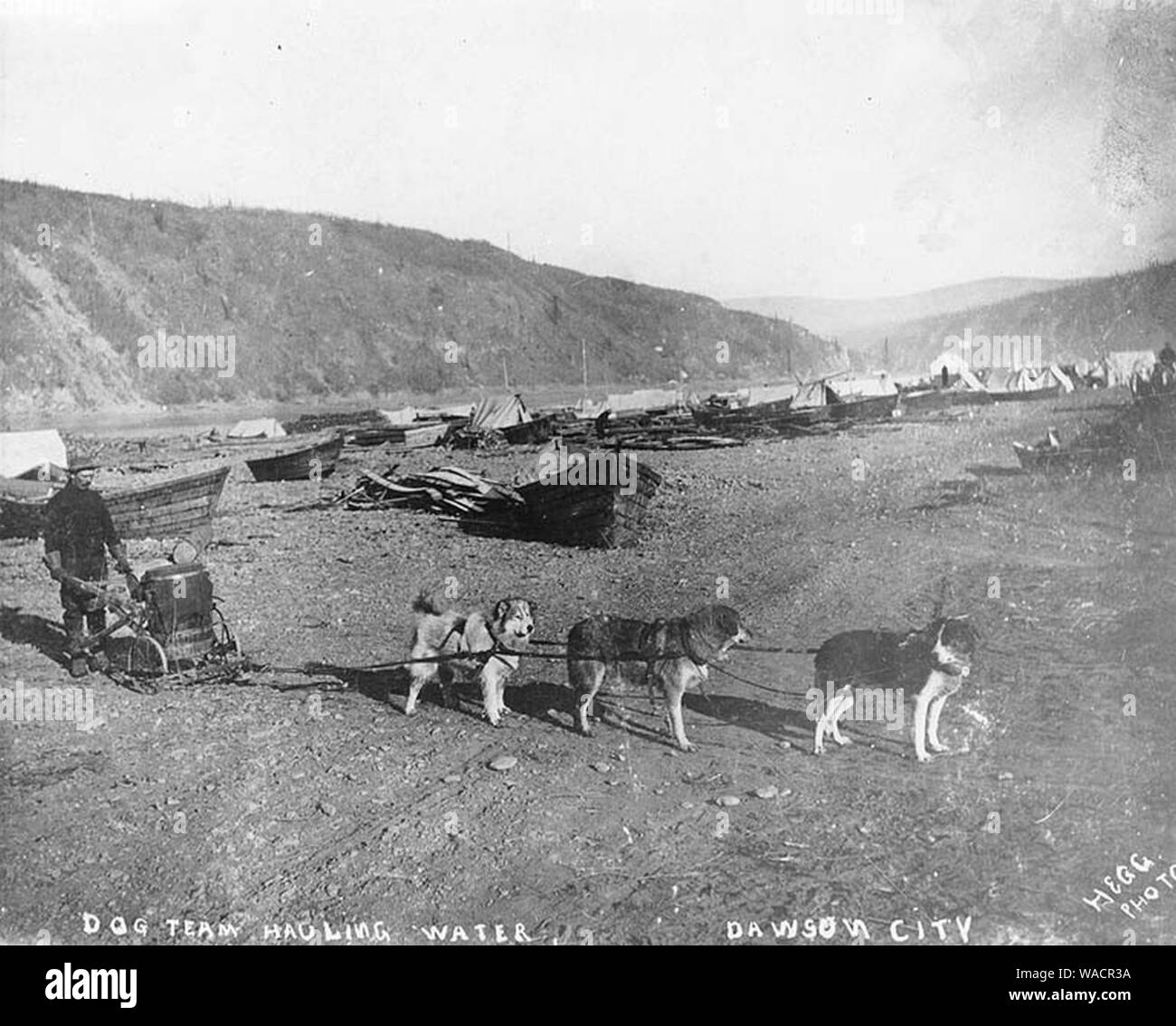 Dog team hauling water, Dawson, Yukon Territory, ca 1898 (HEGG 31 Stock