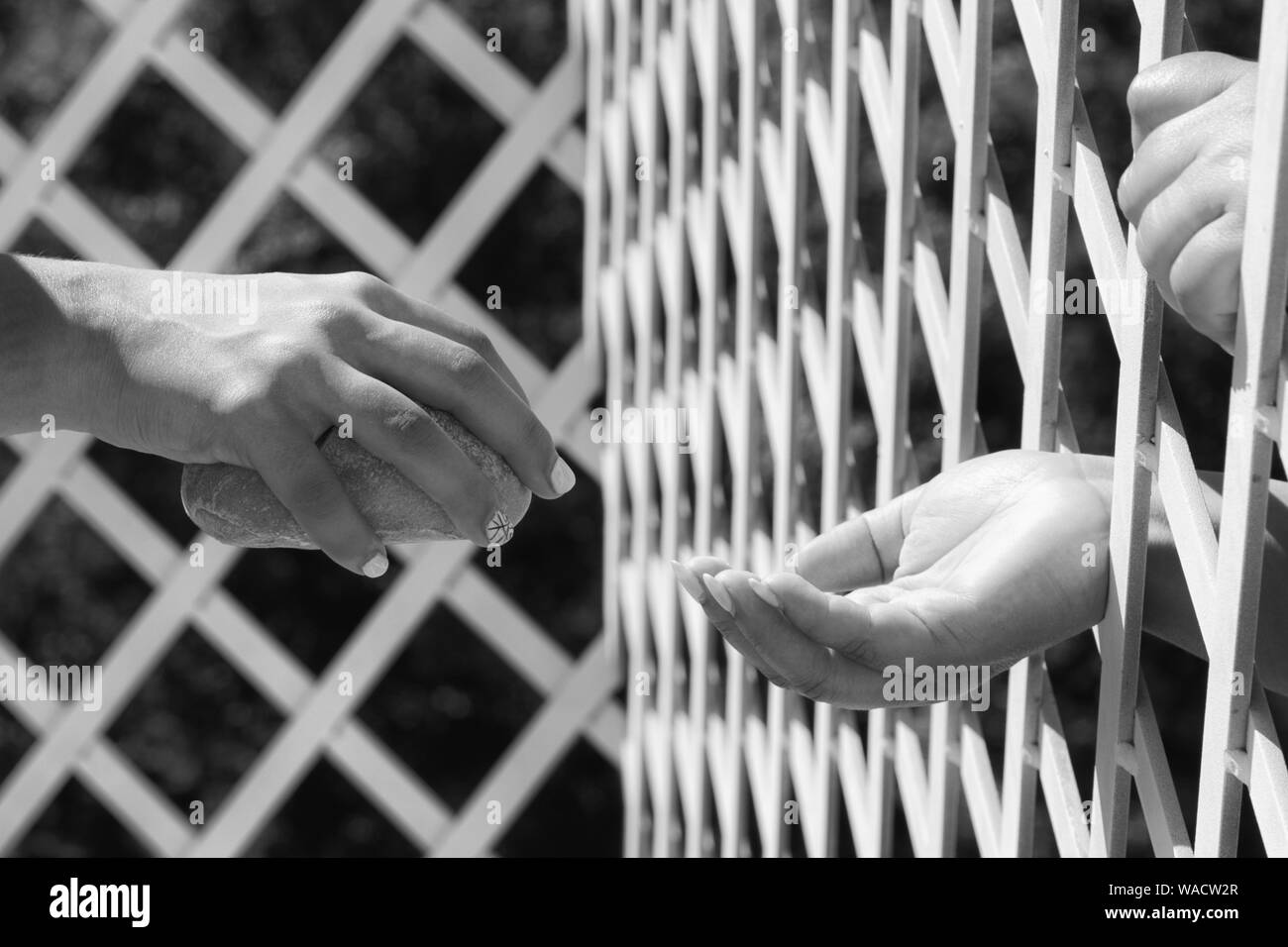 Hand on bars. Exchange of things trought bars. Social problems. Prision issue. Stock Photo