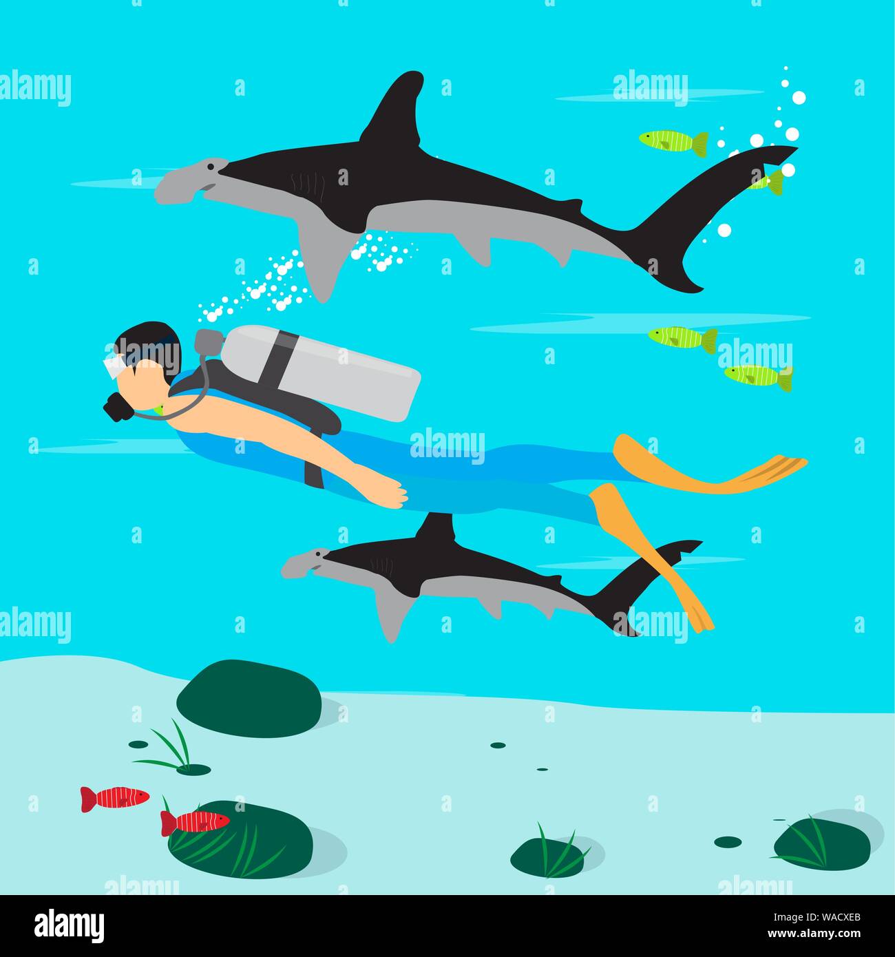 Scuba diver swimming over the coral reef with a hammerhead sharks. Scuba diving concept - Vector Stock Vector