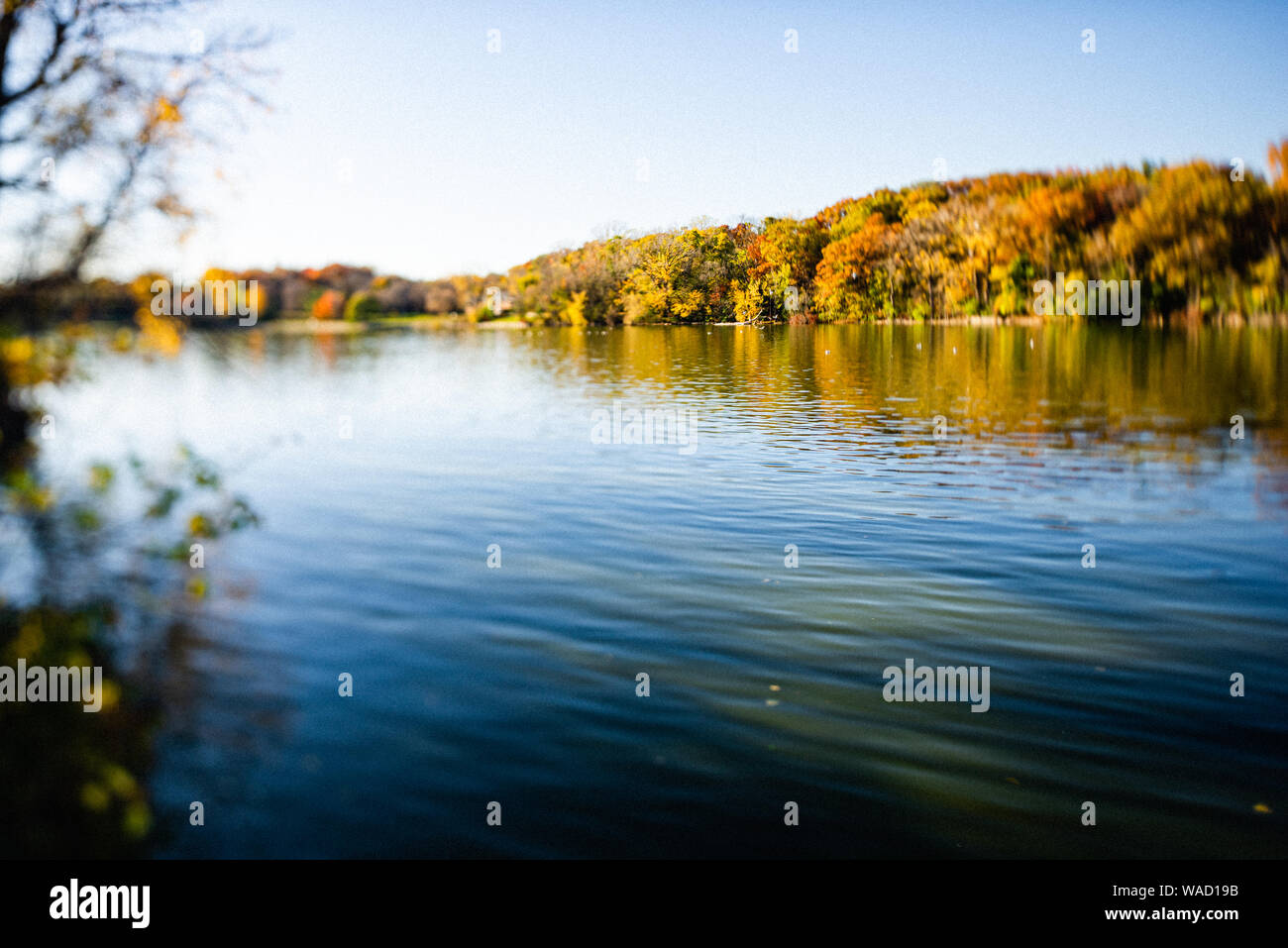 Changing leaves on the Fox River in Appleton, WI Stock Photo