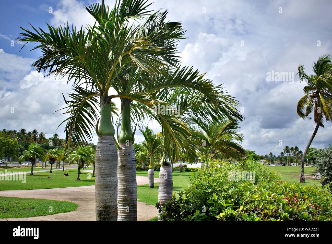 Isla Verde beach at Puerto Rico Stock Photo Alamy