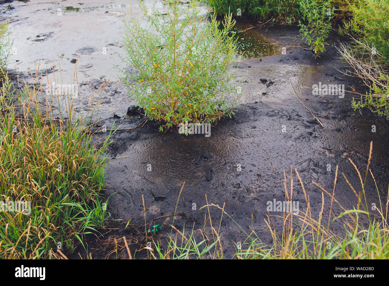 Black water and pollution at the river cause from waste by the factory
