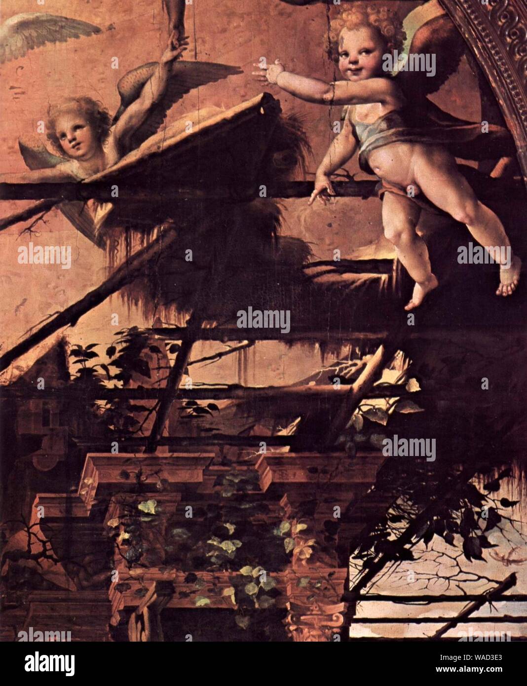 Domenico Beccafumi 049 Stock Photo Alamy