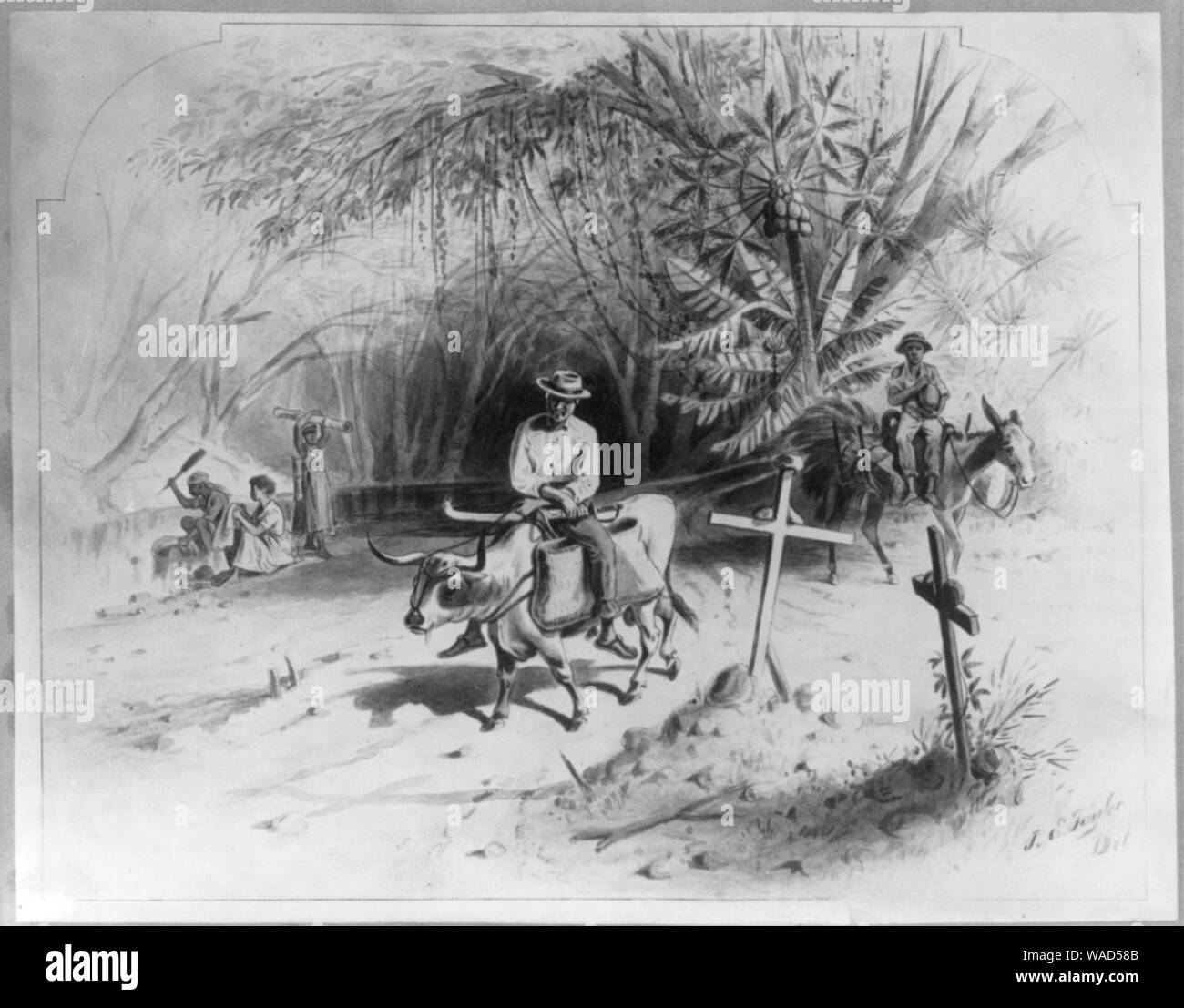 Dominican Republic, 1871)- Method of equestrian travel on cattle and mules, and mode of washing Stock Photo