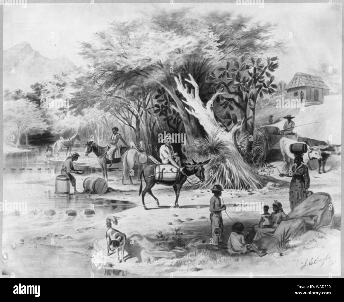 Dominican Republic, 1871)- Procuring water in Via River at Azua, for that city's daily consumption Stock Photo