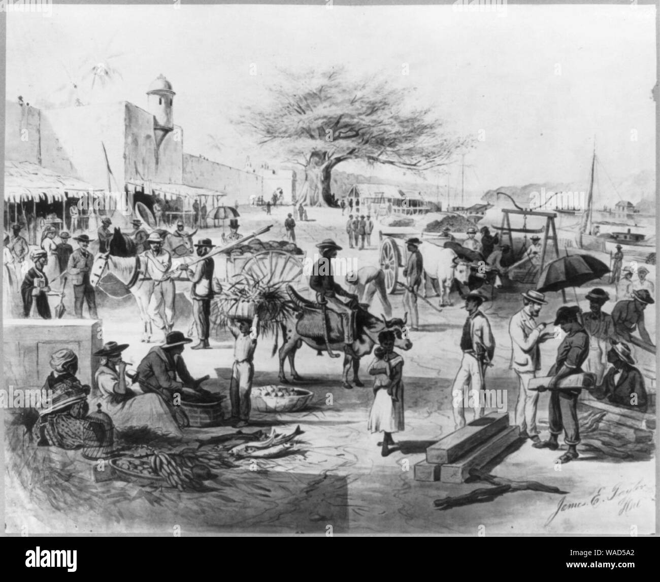 Dominican Republic, 1871)- The embarkadero, or wharf of Santo Domingo City, showing the Columbus Tree in the background Stock Photo