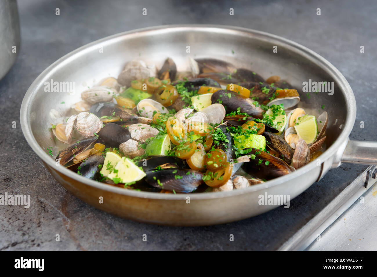 Clams and mussels fried with lime, herbs and jalapeno pepper Stock
