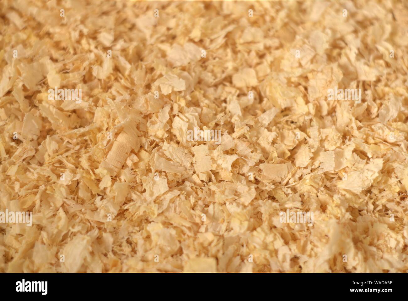 Pine wood shavings, used as pet bedding and litter. Texture detail