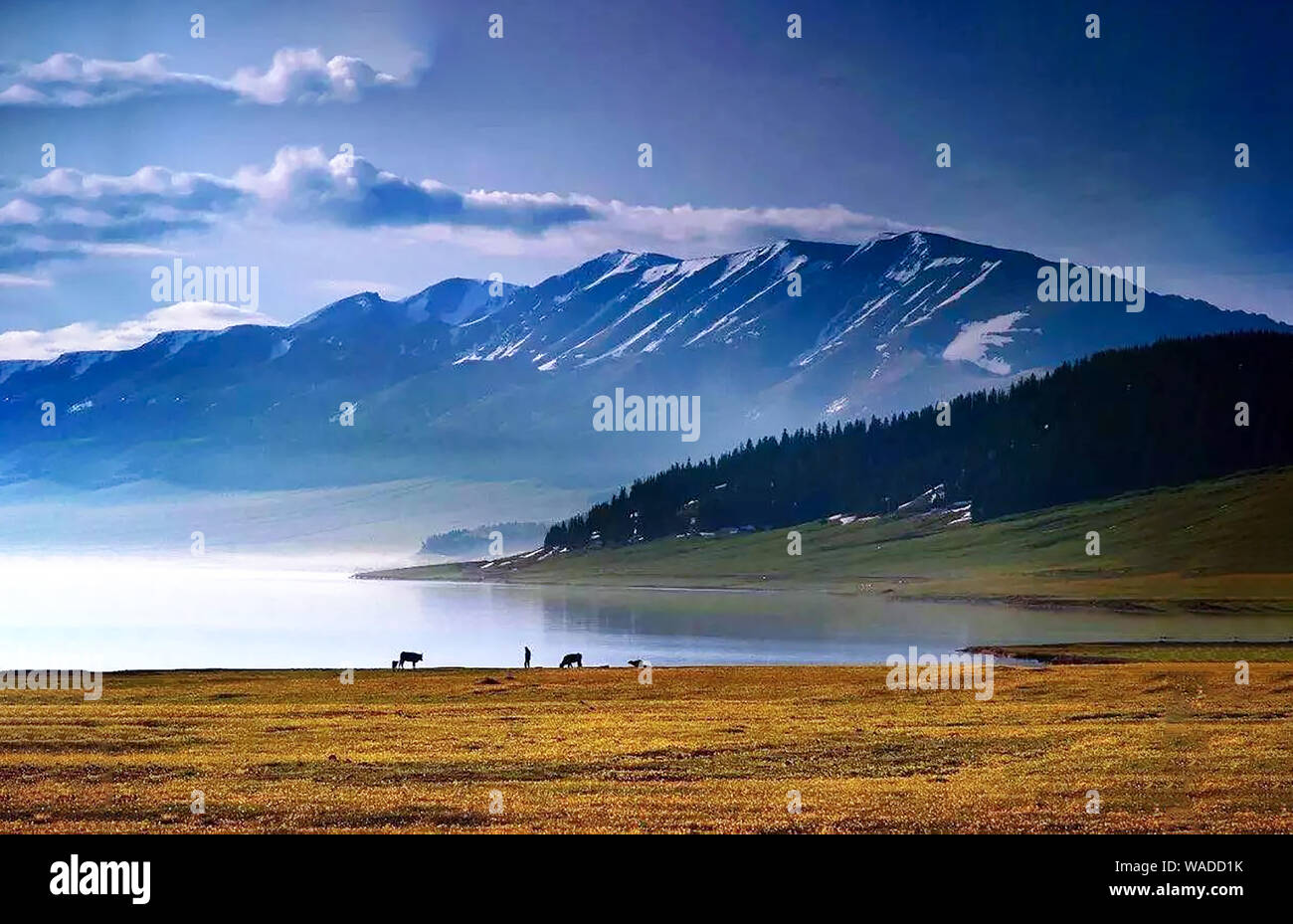 Lying in Bole city, Bortala Mongol Autonomous Prefecture, northwest China’s Xinjiang Uygur Autonomous Region, Sayram Lake wins a fame of “The last tea Stock Photo