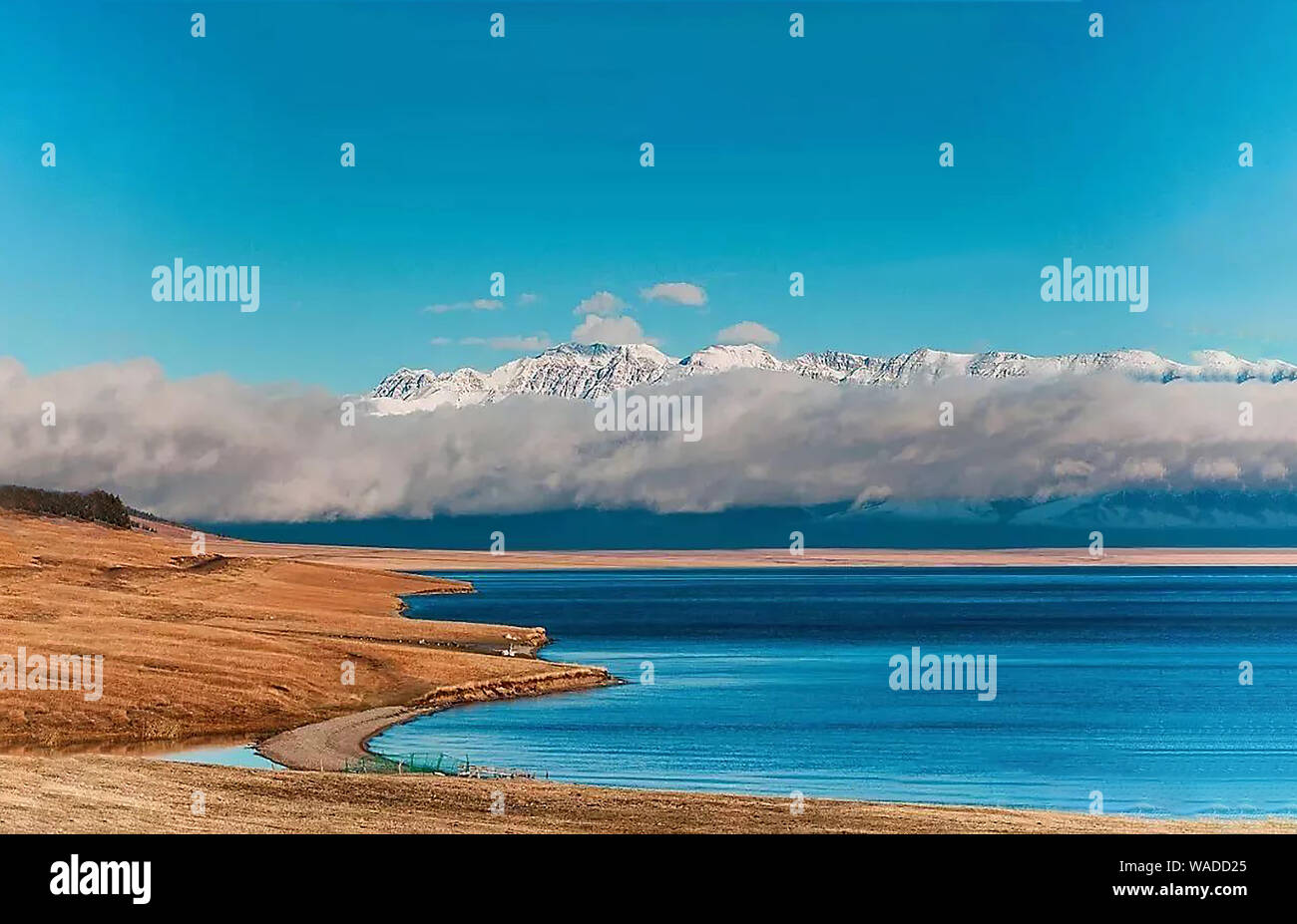Lying in Bole city, Bortala Mongol Autonomous Prefecture, northwest China’s Xinjiang Uygur Autonomous Region, Sayram Lake wins a fame of “The last tea Stock Photo
