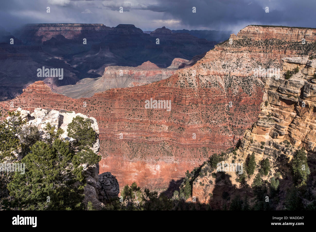 Grand Canyon Lipan Point Stock Photo Alamy