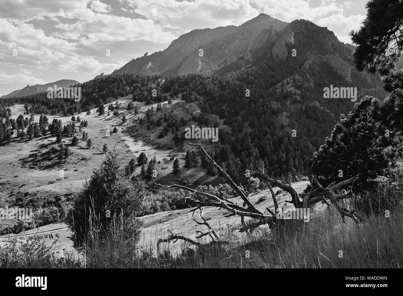 Foothills and Rocky Mountains in black and  white at NCAR Trail head, National Center For Atmospheric Research, in Boulder, Colorado Stock Photo