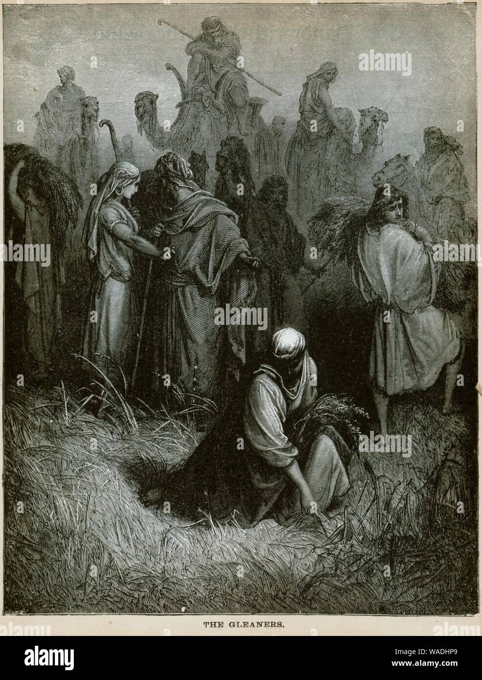 Dore Bible The Gleaners. Stock Photo