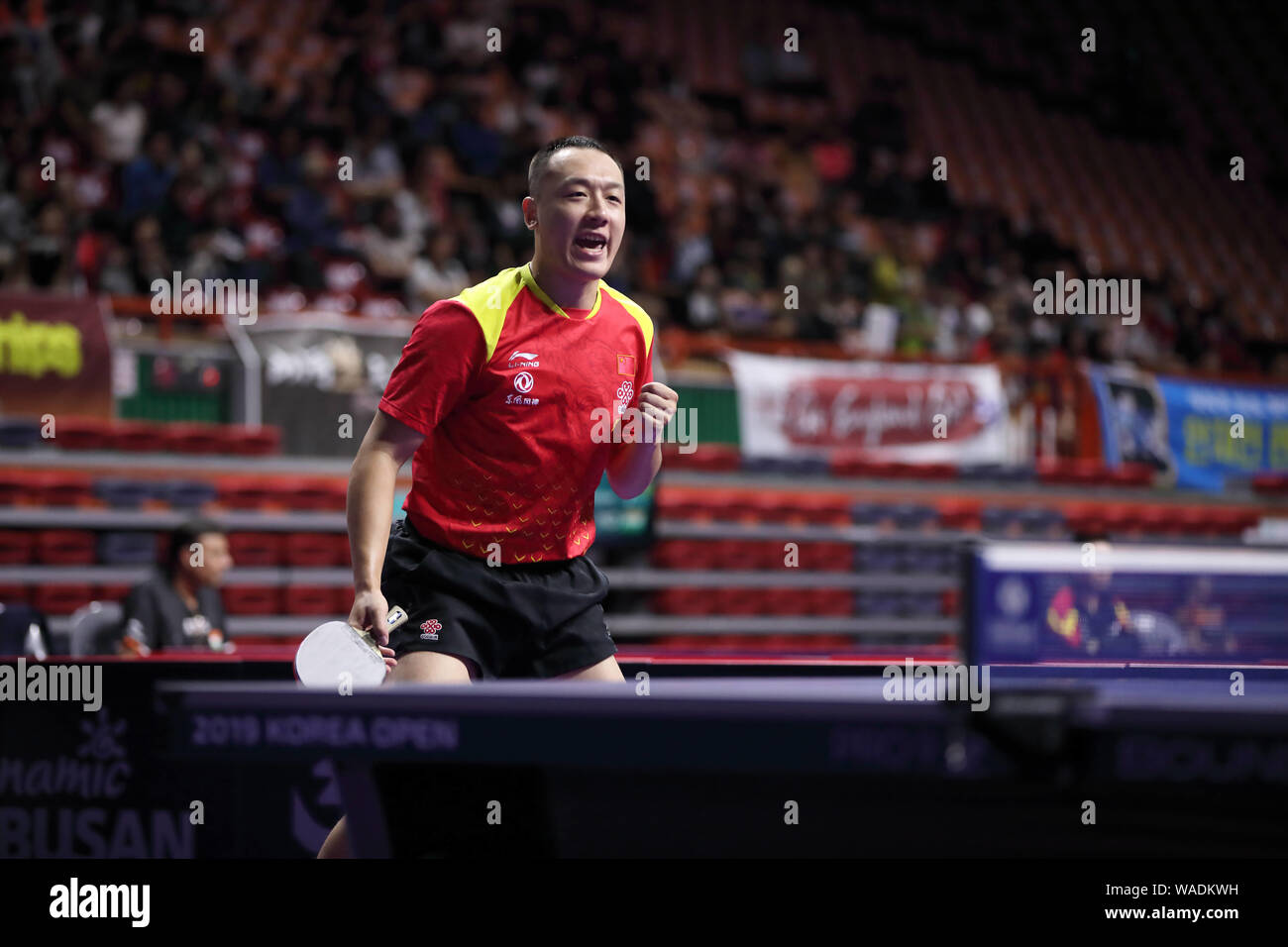 Xu Chenhao of China celebrates after scoring against Fan Zhendong of ...