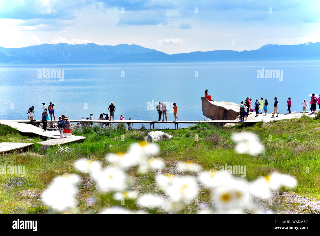 Lying in Bole city, Bortala Mongol Autonomous Prefecture, northwest China’s Xinjiang Uygur Autonomous Region, Sayram Lake wins a fame of “The last tea Stock Photo