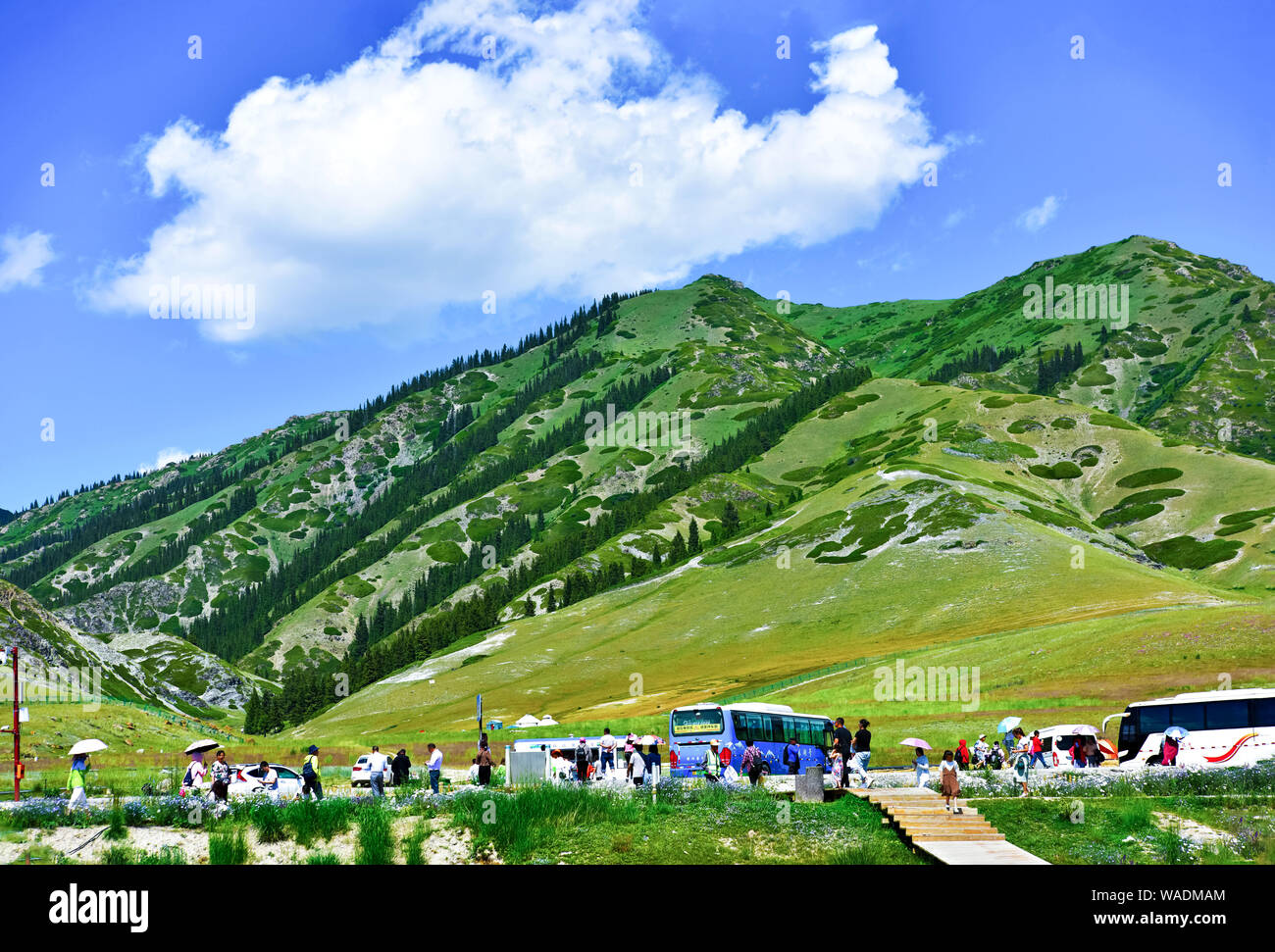 Lying in Bole city, Bortala Mongol Autonomous Prefecture, northwest China’s Xinjiang Uygur Autonomous Region, Sayram Lake wins a fame of “The last tea Stock Photo