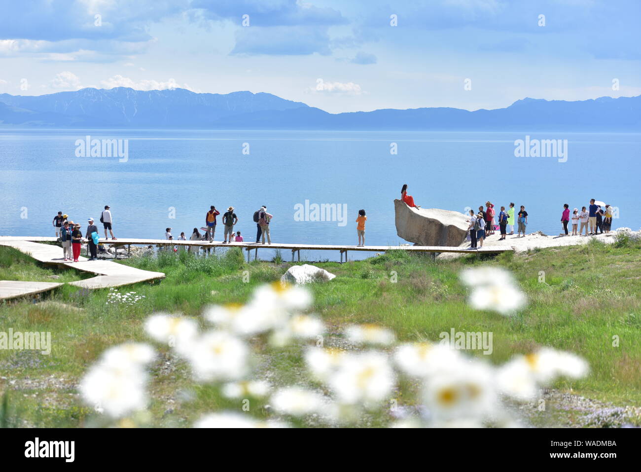 Lying in Bole city, Bortala Mongol Autonomous Prefecture, northwest China¯s Xinjiang Uygur Autonomous Region, Sayram Lake wins a fame of °The last tea Stock Photo
