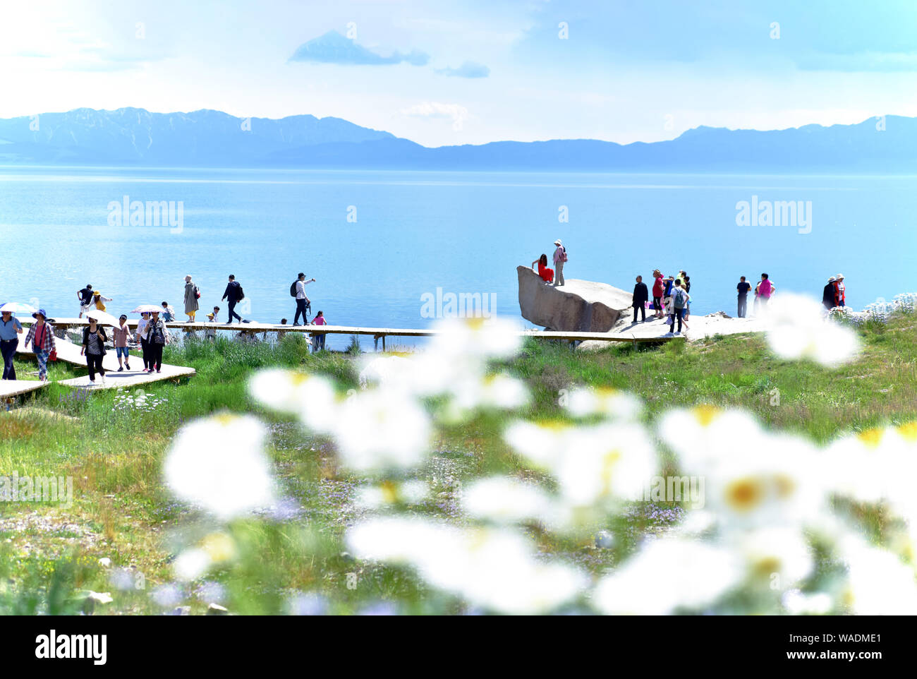 Lying in Bole city, Bortala Mongol Autonomous Prefecture, northwest China’s Xinjiang Uygur Autonomous Region, Sayram Lake wins a fame of “The last tea Stock Photo