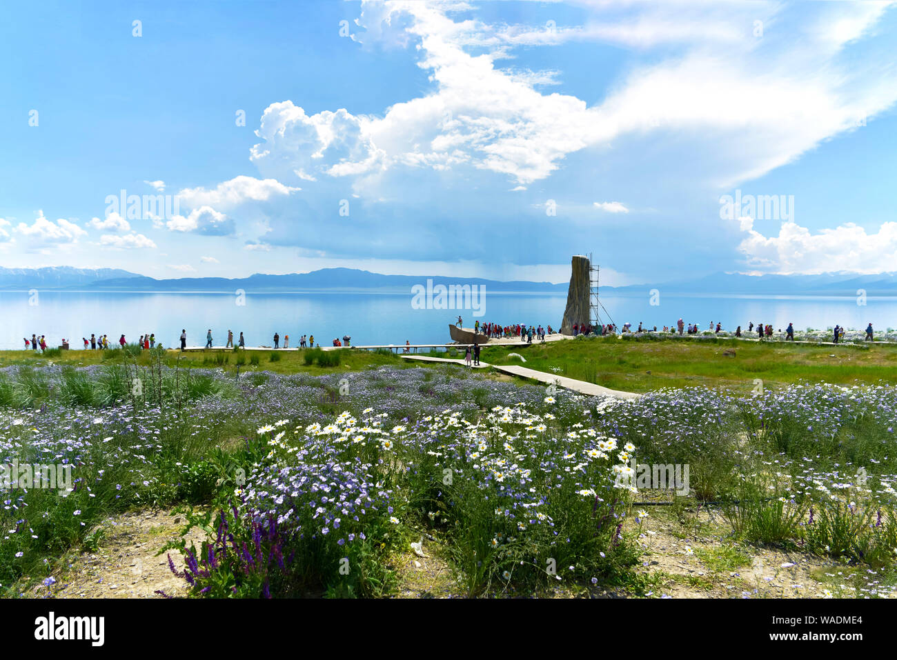 Lying in Bole city, Bortala Mongol Autonomous Prefecture, northwest China’s Xinjiang Uygur Autonomous Region, Sayram Lake wins a fame of “The last tea Stock Photo