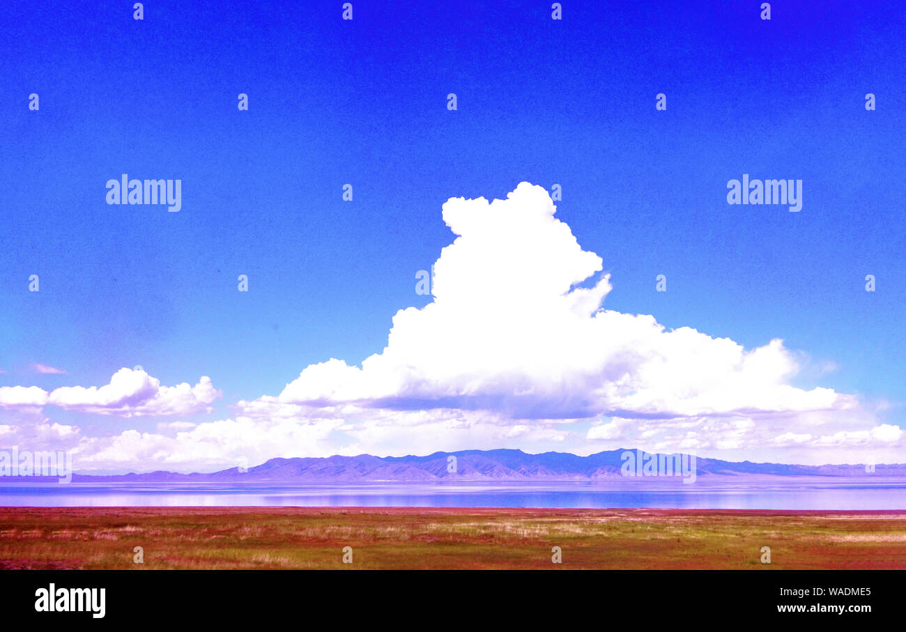 Lying in Bole city, Bortala Mongol Autonomous Prefecture, northwest China’s Xinjiang Uygur Autonomous Region, Sayram Lake wins a fame of “The last tea Stock Photo