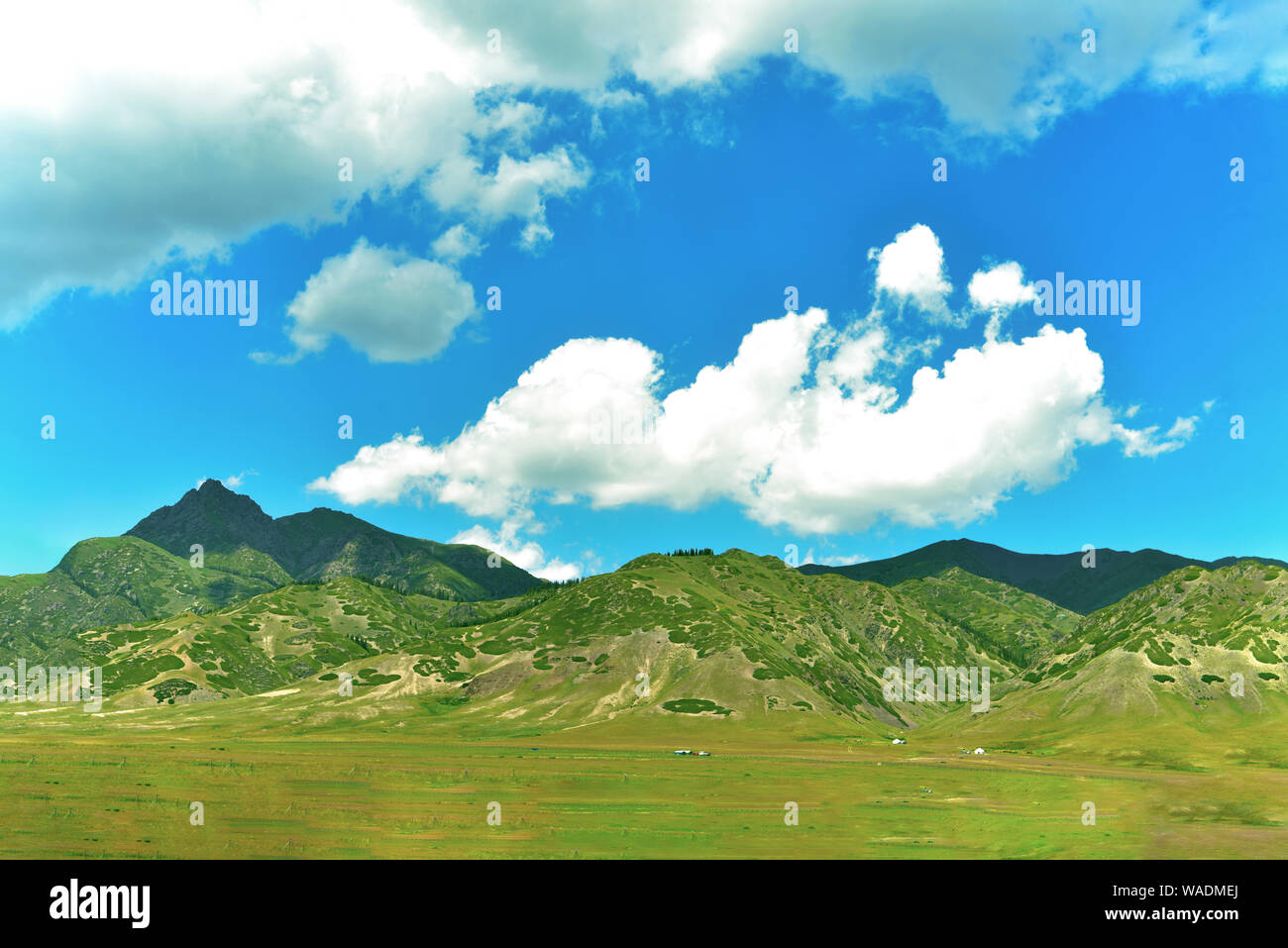 Lying in Bole city, Bortala Mongol Autonomous Prefecture, northwest China’s Xinjiang Uygur Autonomous Region, Sayram Lake wins a fame of “The last tea Stock Photo