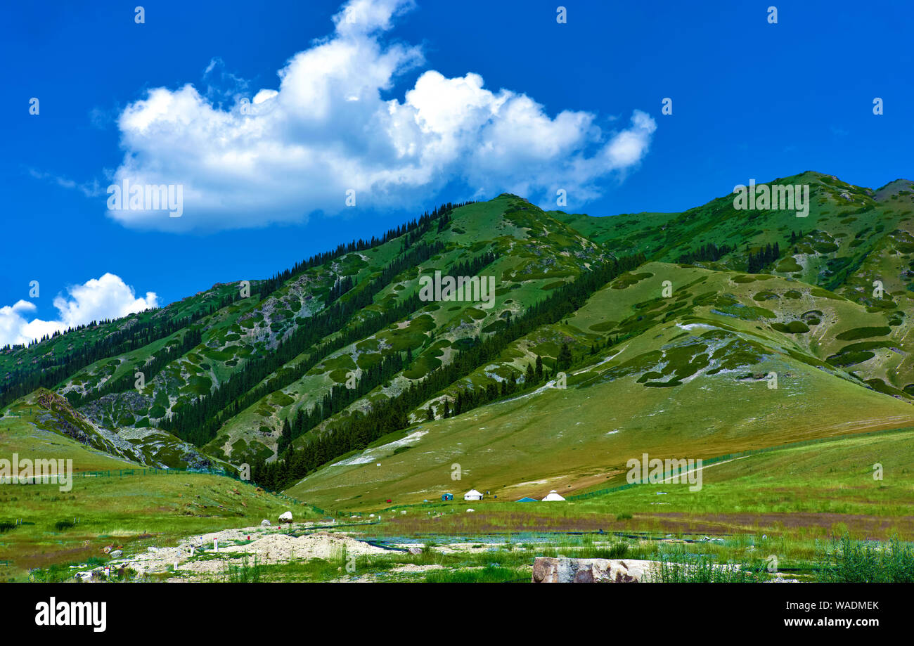 Lying in Bole city, Bortala Mongol Autonomous Prefecture, northwest China’s Xinjiang Uygur Autonomous Region, Sayram Lake wins a fame of “The last tea Stock Photo