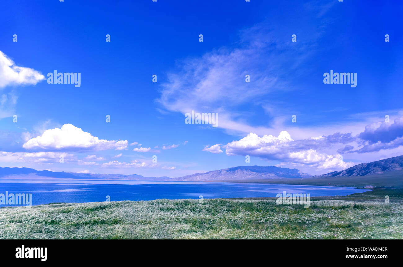Lying in Bole city, Bortala Mongol Autonomous Prefecture, northwest China’s Xinjiang Uygur Autonomous Region, Sayram Lake wins a fame of “The last tea Stock Photo