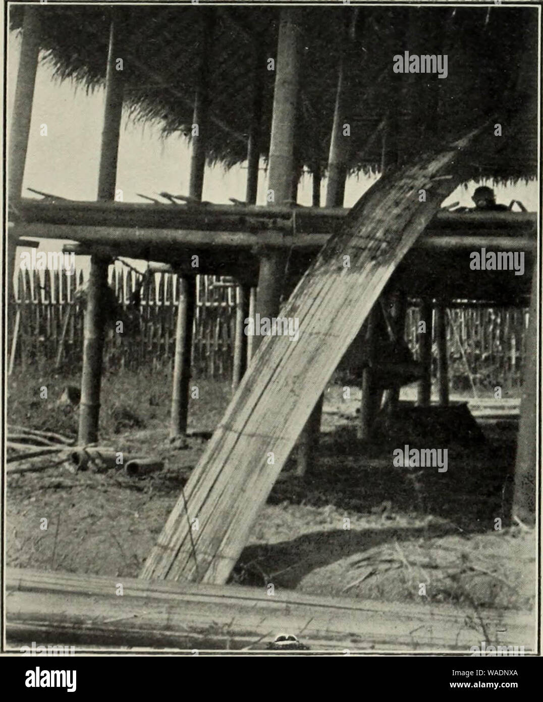 'Shans at home. With two chapters on Shan history and literature' (1910) Stock Photo