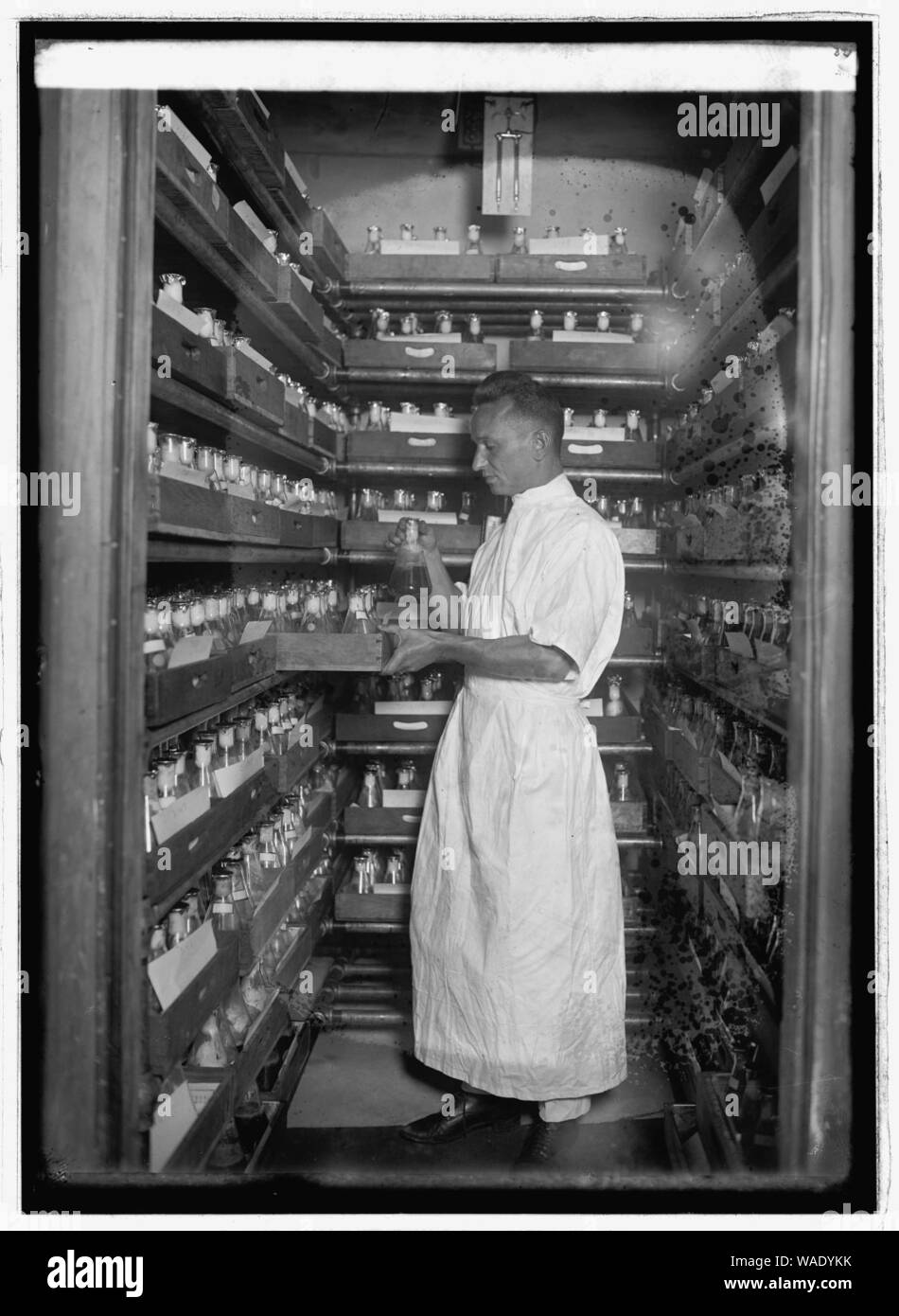 Dr. Henry E. Mosky, 10-13-22 Stock Photo