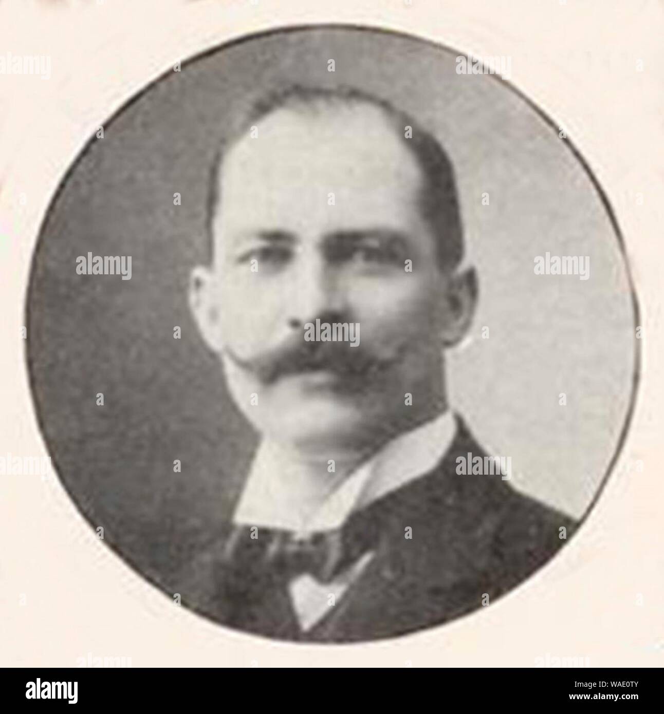 Dr. Willy Thelemann, Mitglied des Vorstandes der Kunststellung im Kunstpalast Düsseldorf, 1904. Stock Photo