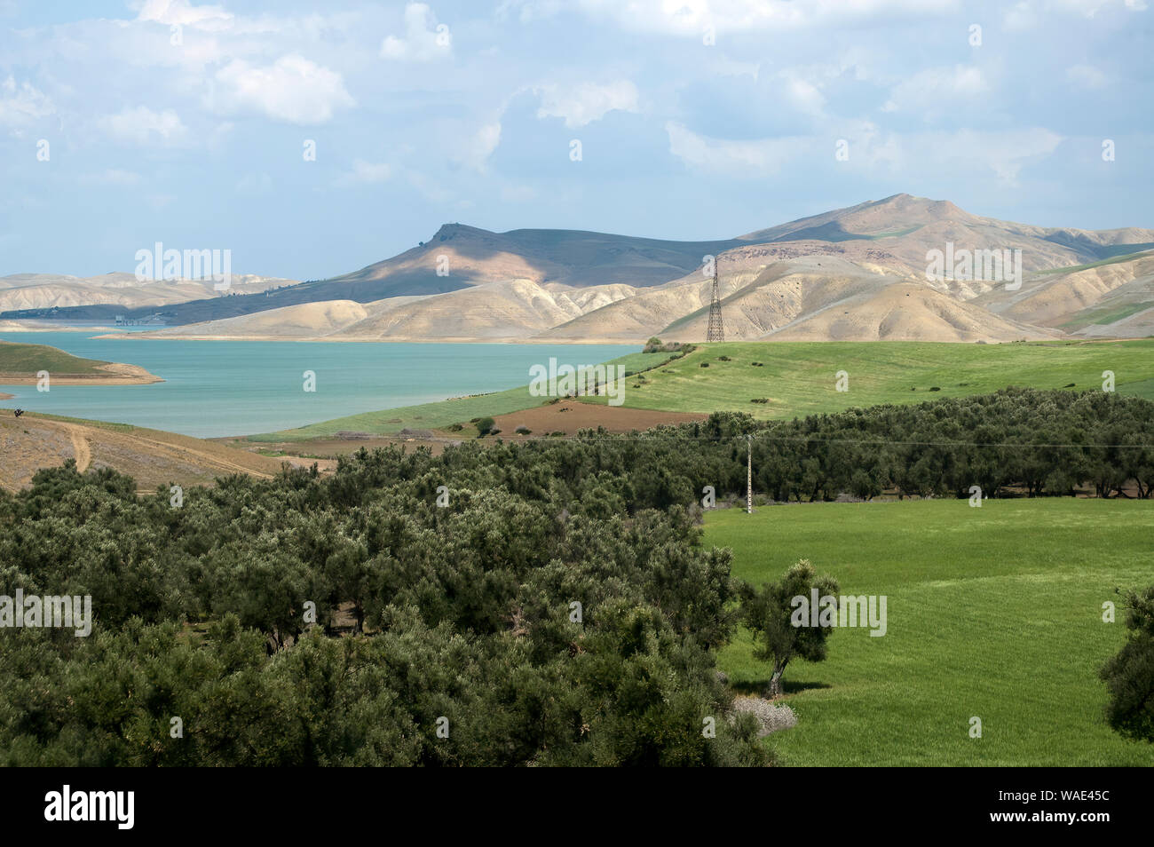 Northern Morocco, rural scene of olive grove with lake and hills in