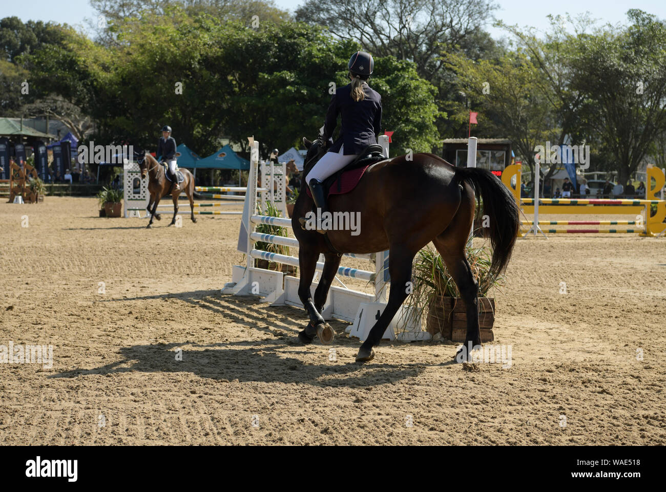 Durban, South Africa, rear view, single rider on horse, show jumping
