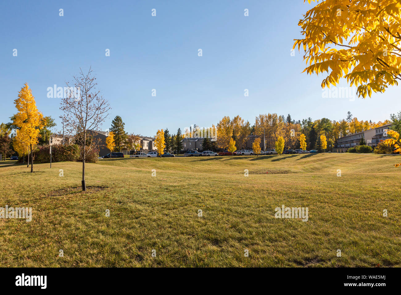 Park in Abasand Heights, Fort McMurray Stock Photo Alamy