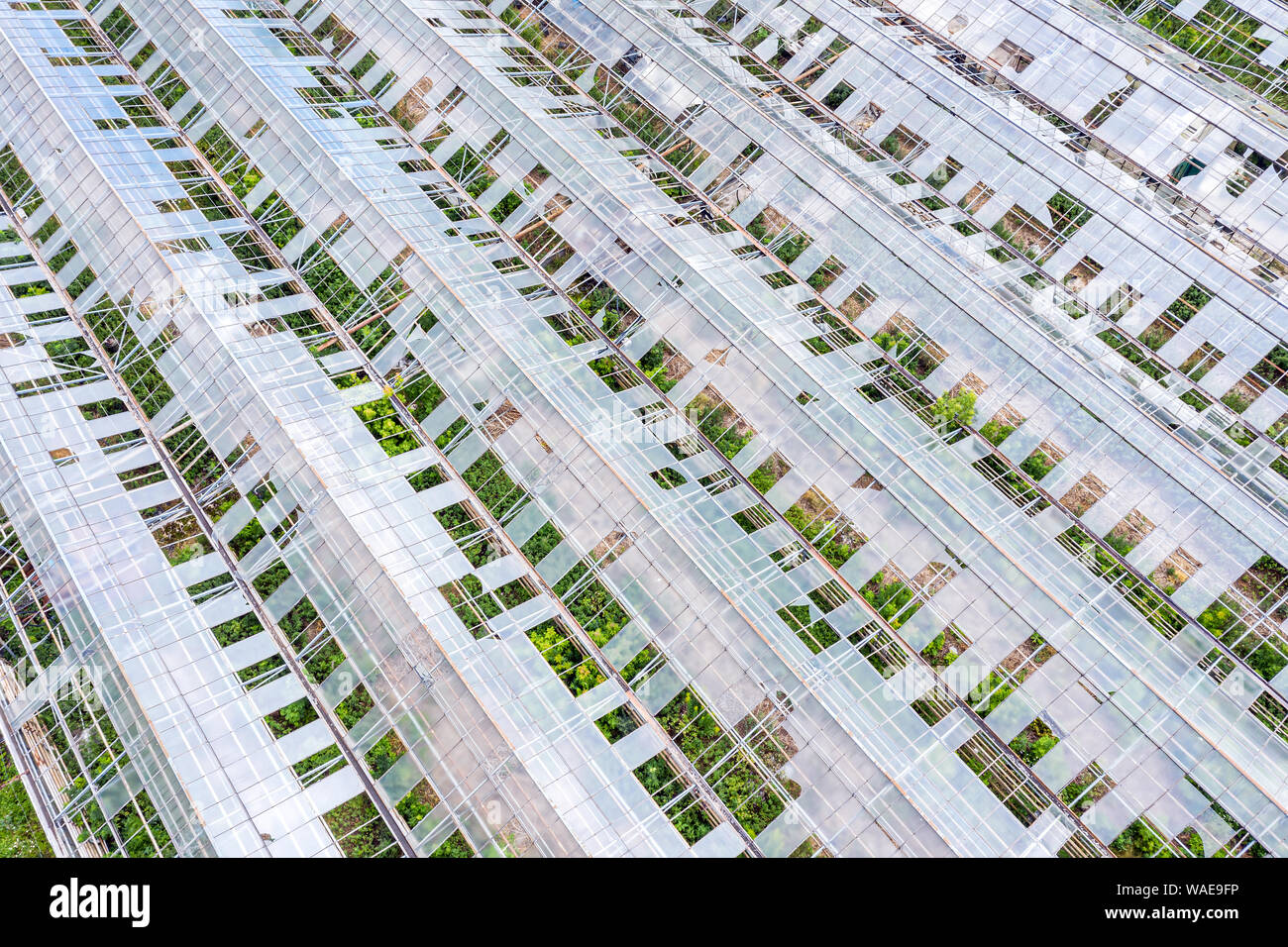 broken abandoned hothouse with holes in glass roof. aerial view Stock Photo