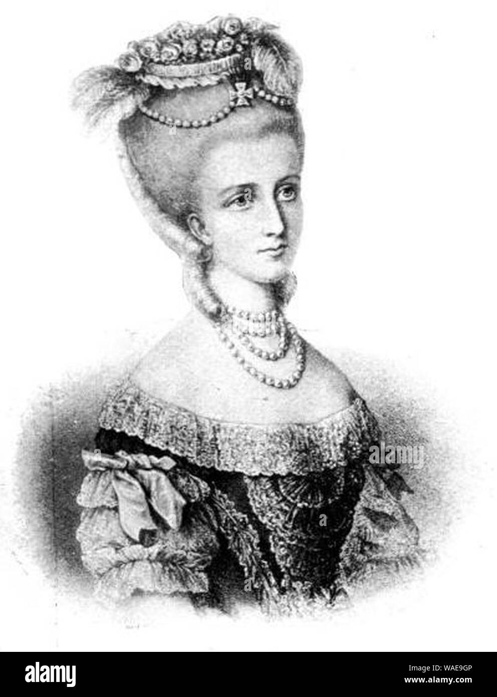 Drawing of the Countess of Artois Stock Photo Alamy