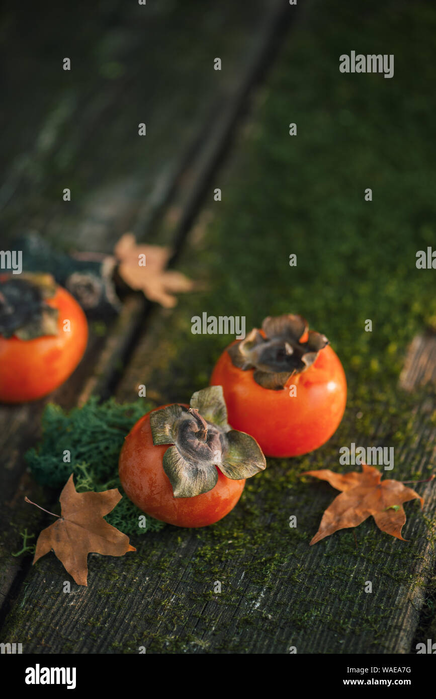 Fresh ripe persimmon on green moss. Autumn harvest concept with copy space. Dark food photography. Stock Photo